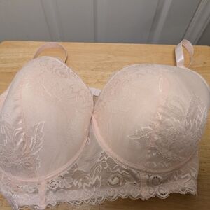 Pure Beauty By Rene Rolfe Light Pink Lace Bra Size 44DD With Underwire
